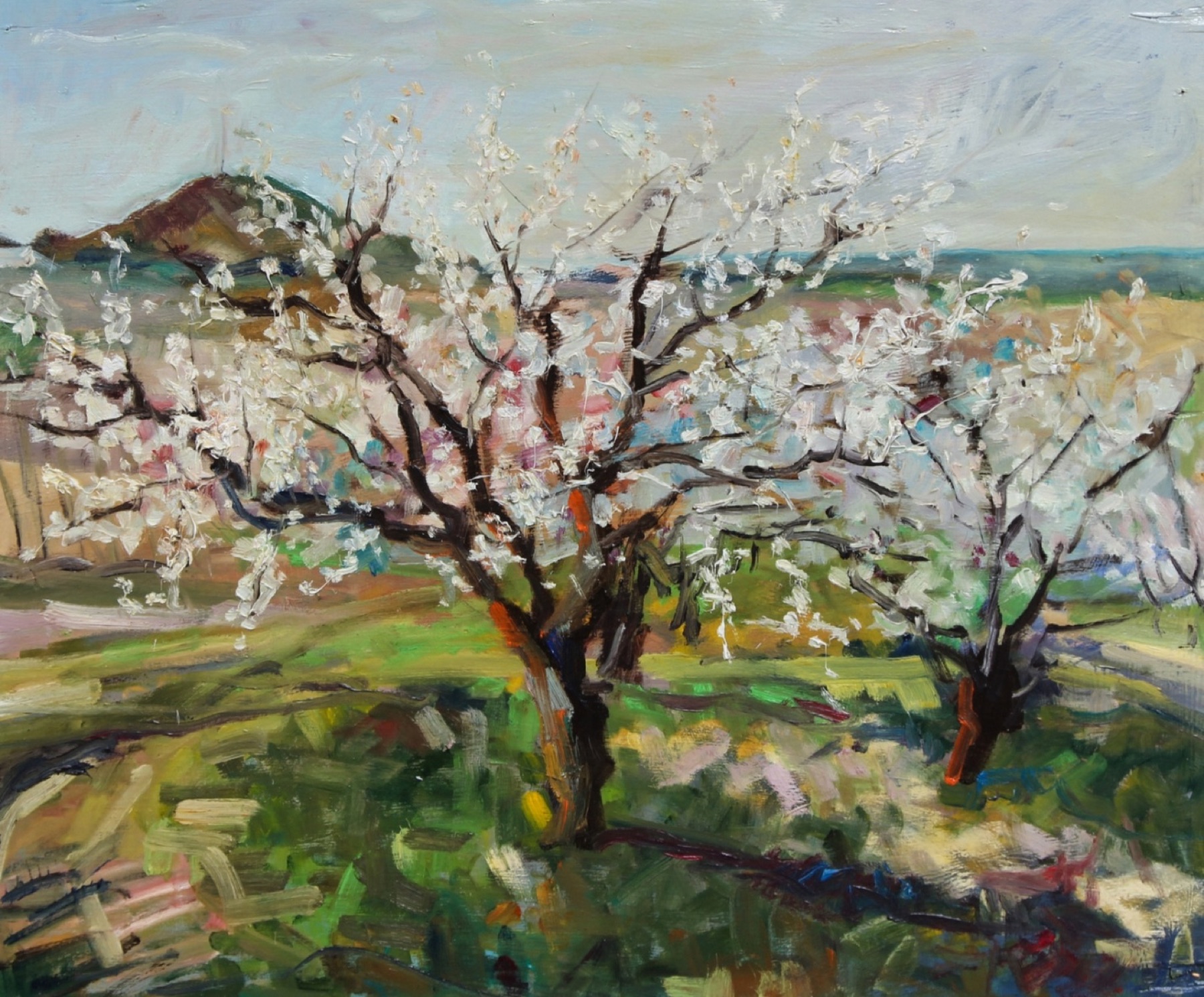 Fioritura a Bertinoro (2010), olio su tavola di Christian Nardi: mandorli in fiore sulle colline romagnole.